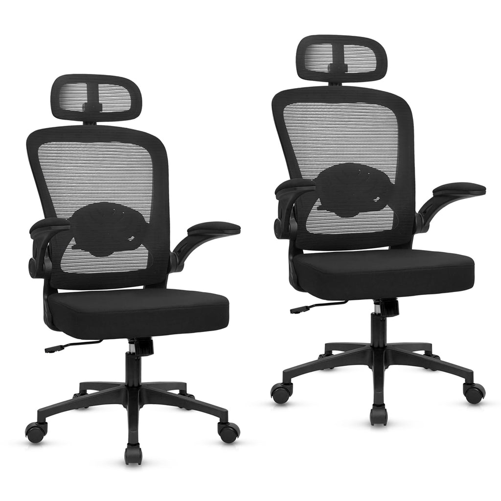 KLASIKA Home Office Desk Chair with Flip Up Armrests, Mesh Back Chair with Adjustable Height Lumbar Support and Headrest, Ergonomic Computer Task Chair for School, Conference, Black(2PK)
