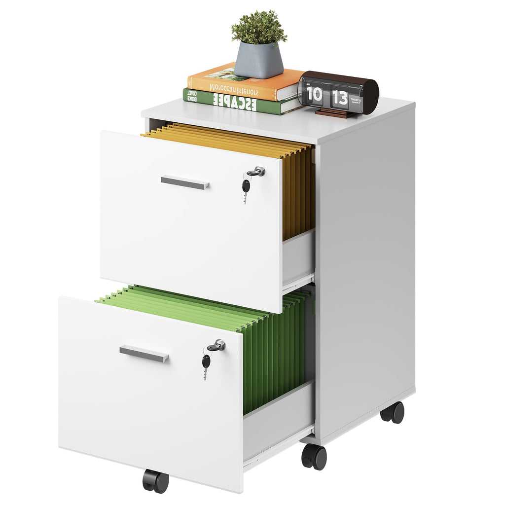2 Drawer File Cabinet with Lock, Mobile Printer Stand, White