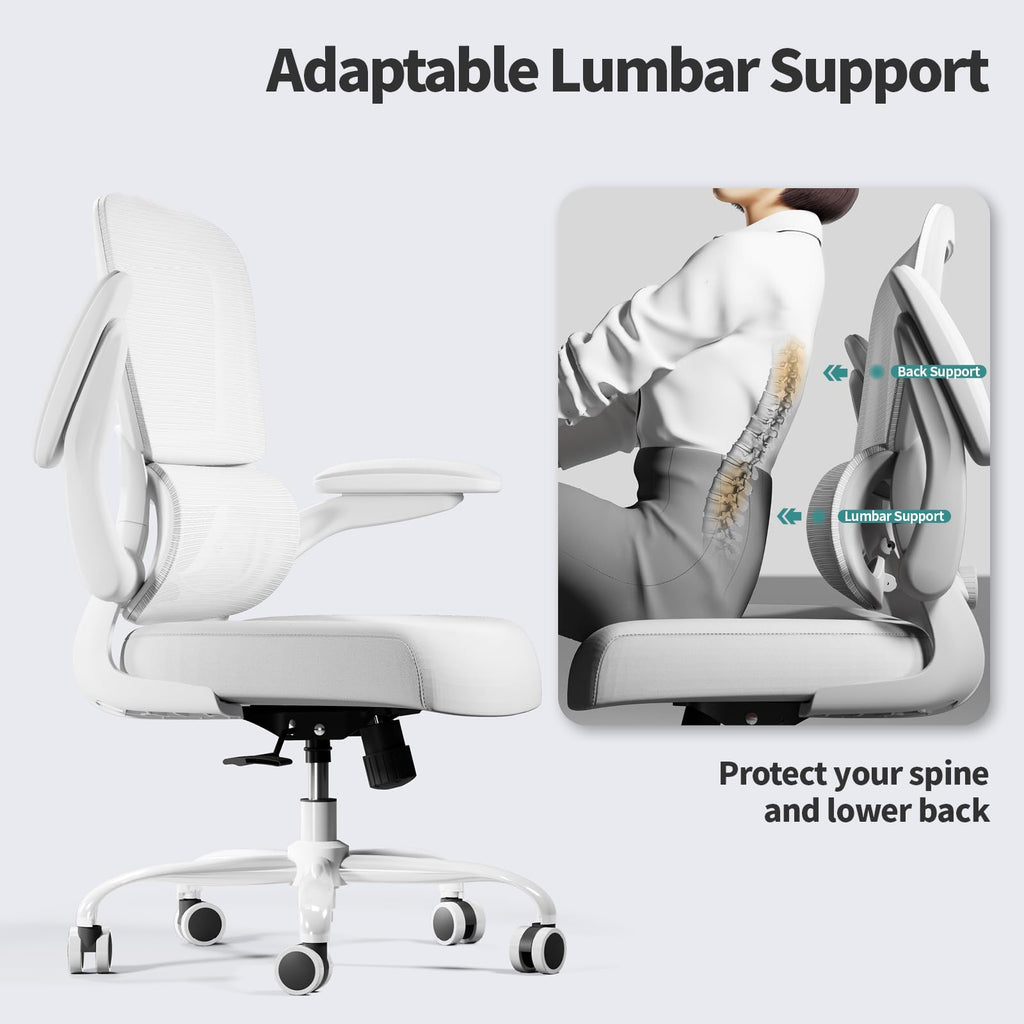 Office Chair - Ergonomic Desk Chair with Adjustable Lumbar Support, Mesh Computer Chair, Executive Chairs for Home Office Comfortable Lumbar Support (Cloud White)