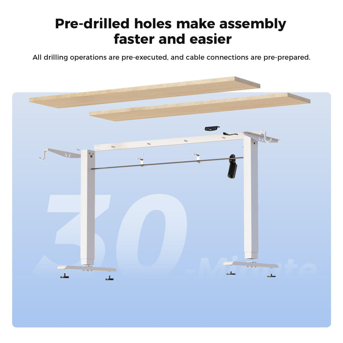 48 * 24 Inch Height Adjustable Electric Standing Desk, Maple
