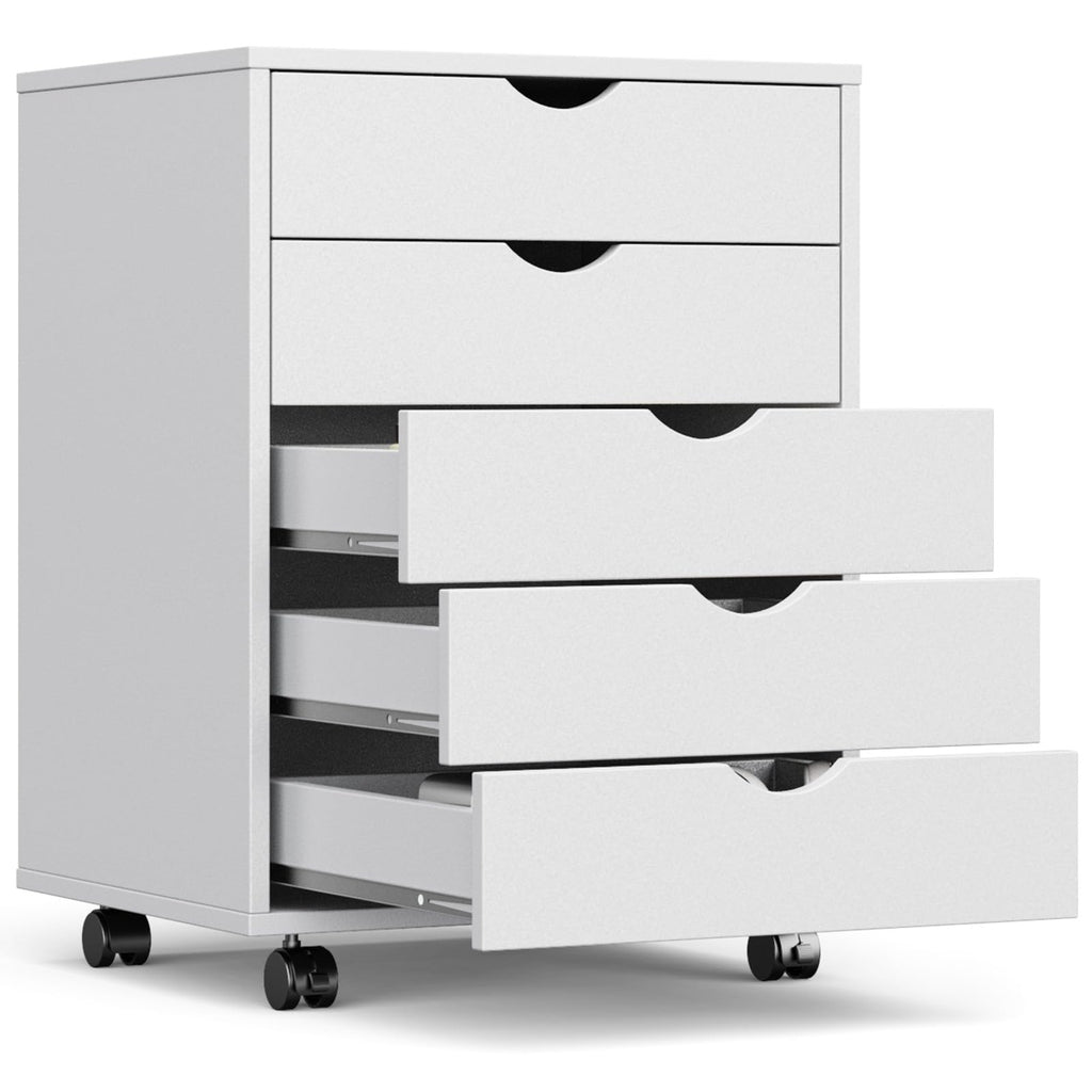 5 Drawer File Cabinet on Wheels, Printer Stand