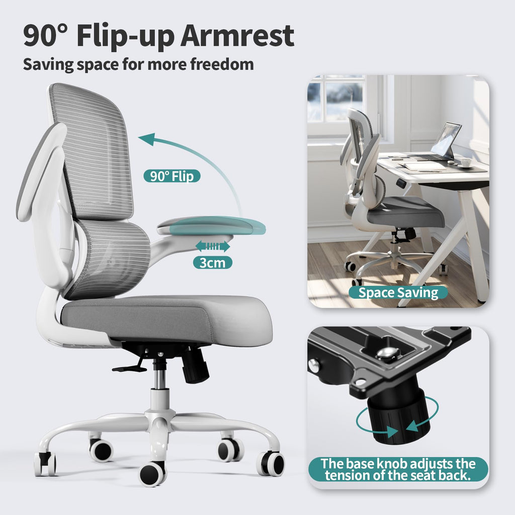 Office Chair - Ergonomic Desk Chair with Adjustable Lumbar Support, Mesh Computer Chair, Executive Chairs for Home Office Comfortable Lumbar Support (Ash Gray)