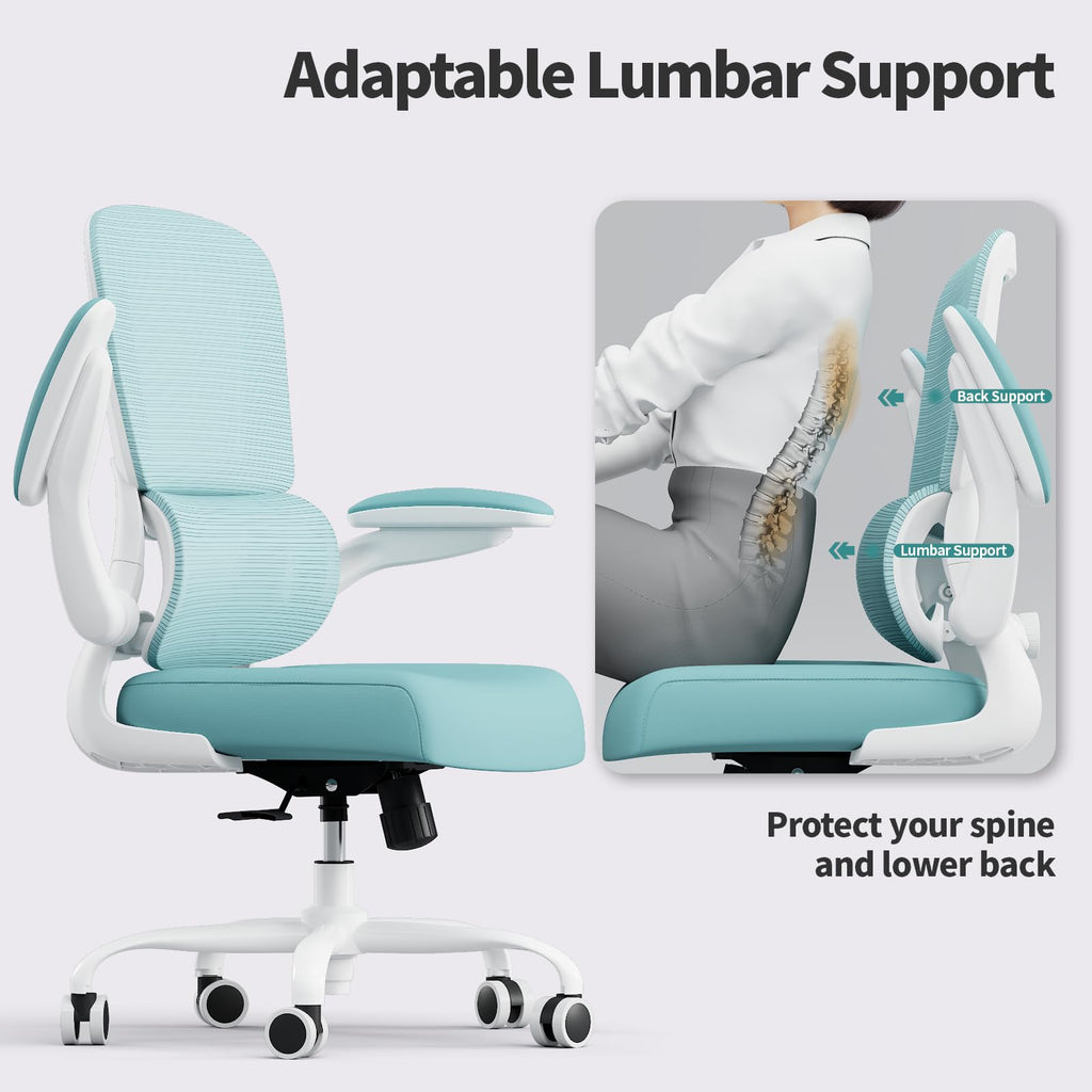 Office Chair - Ergonomic Desk Chair with Adjustable Lumbar Support, Mesh Computer Chair, Executive Chairs for Home Office Comfortable Lumbar Support (Mint Green)