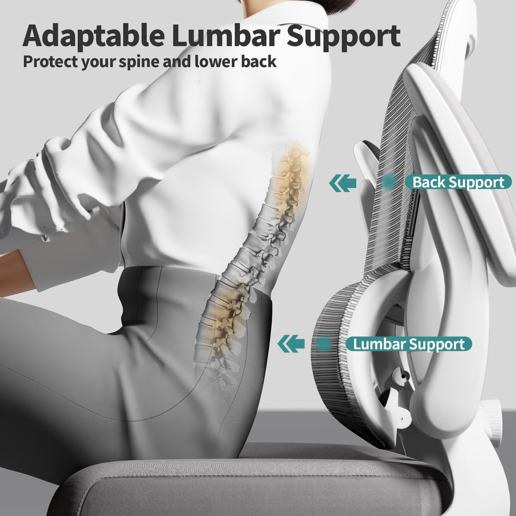 Office Chair - Ergonomic Desk Chair with Adjustable Lumbar Support, Mesh Computer Chair, Executive Chairs for Home Office Comfortable Lumbar Support (Ash Gray)