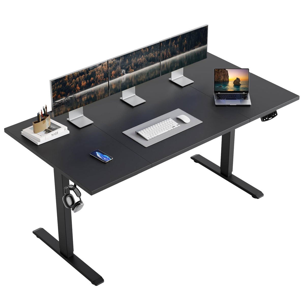 63 * 24 Inch Height Adjustable Electric Standing Desk, Black