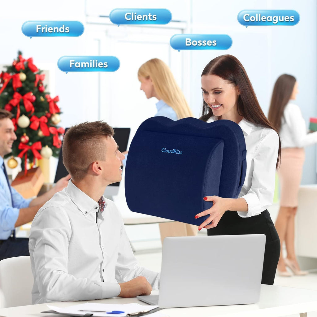 Lumbar Support Pillow & Seat Cushion Set for Office Chair, Desk Chair, Wheelchair & Car – Memory Foam Back Support, Ergonomic Chair Cushions, Sciatica Pain Relief, Home Essentials, Blue