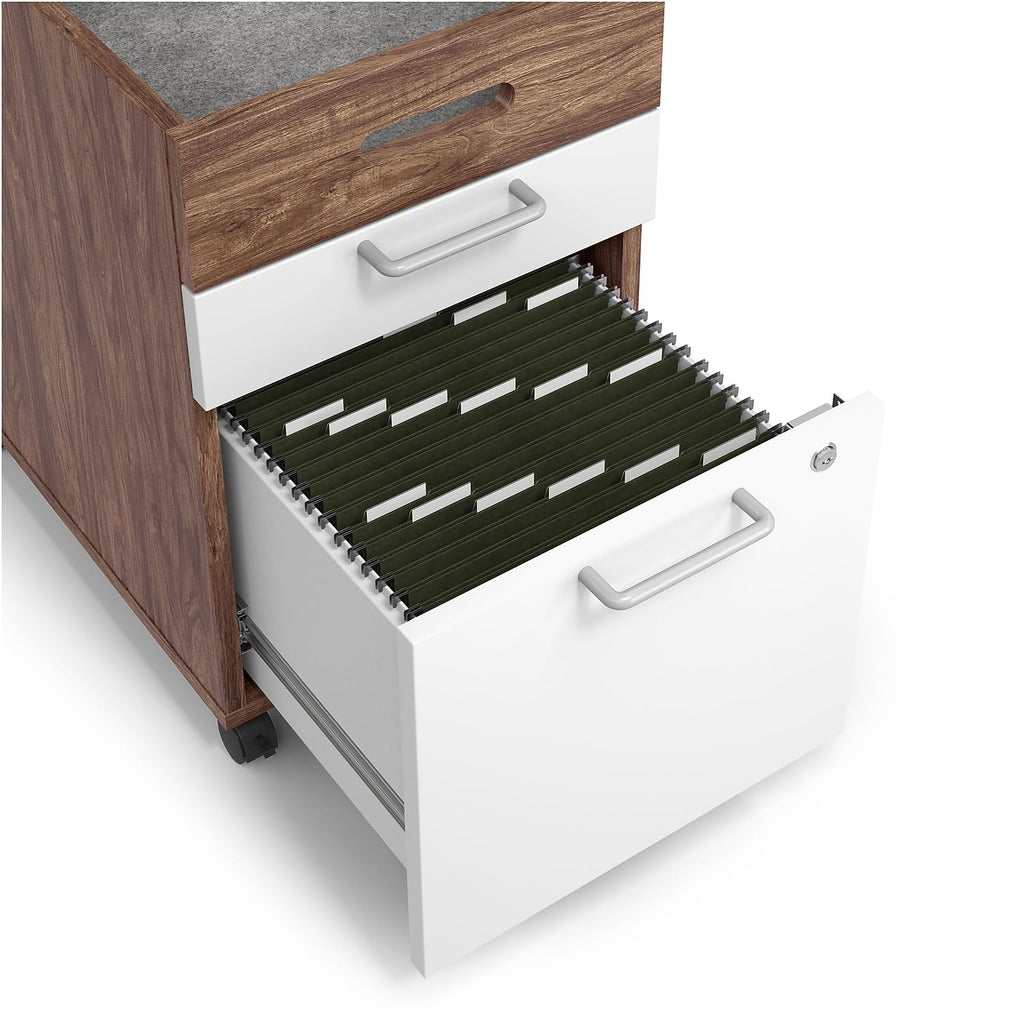 2 Drawer Mobile File Cabinet, Rolling Printer Stand, Vertical Filing Cabinet, Office Drawers, Filing Cart for Home Office, A4/Letter Size, Black and Rustic Brown