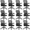 KLASIKA Office Desk Chairs with Wheels, Ergonomic Mesh Chair with Adjustable Height Lumbar Support, Rolling Swivel Computer Task Chair with Flip Up Armrests for Home, Study, Conference, Black (12PK)