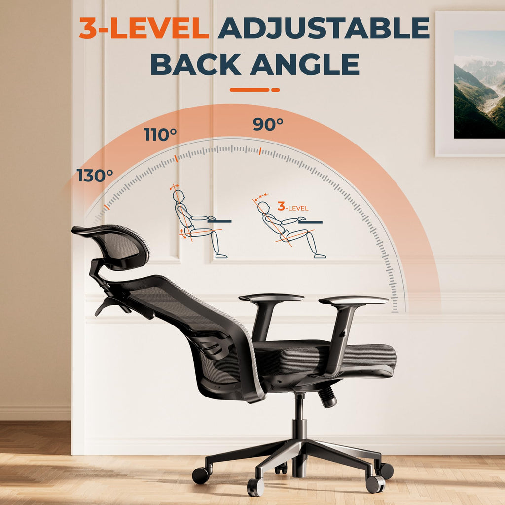 FitStand Ergonomic Office Chair High Back Computer Chair Home Office Desk Chairs with Lumbar Support/Heavy Duty Base/Headrest/Lockable Back, Comfortable Foam Seat Cushion, ErgoChair Pro, Black