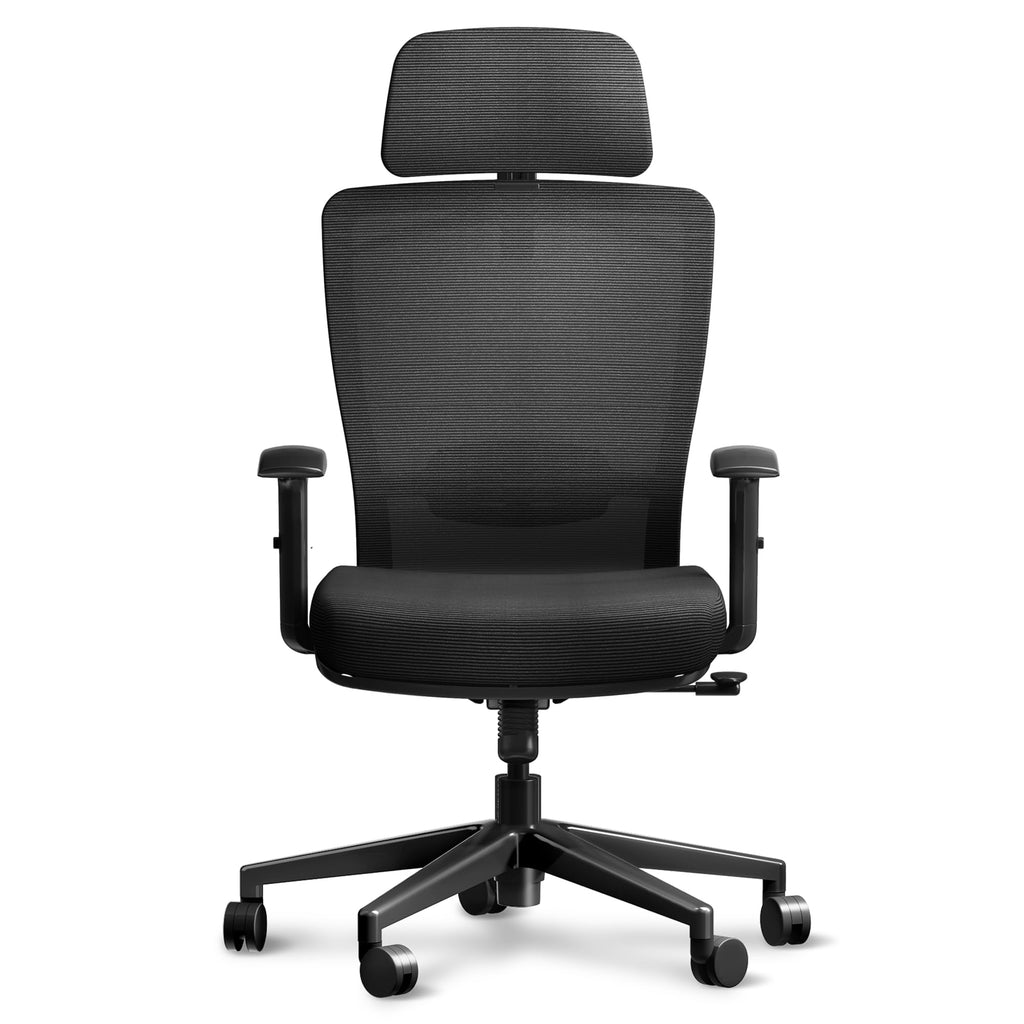 FitStand Ergonomic Office Chair High Back Computer Chair Home Office Desk Chairs with Lumbar Support/Heavy Duty Base/Headrest/Lockable Back, Comfortable Foam Seat Cushion, ErgoChair Pro, Black