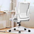 Ergonomic Office Chair with Flip-up Armrests Executive Computer Chair for Home Office, Breathable Mesh & Comfy Lumbar Support, Moon Gray