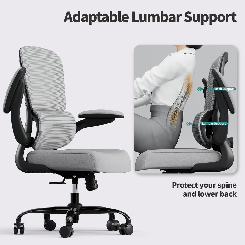 Office Chair - Ergonomic Desk Chair with Adjustable Lumbar Support, Mesh Computer Chair, Executive Chair for Home Office Comfortable Lumbar Support (Fog Gray)