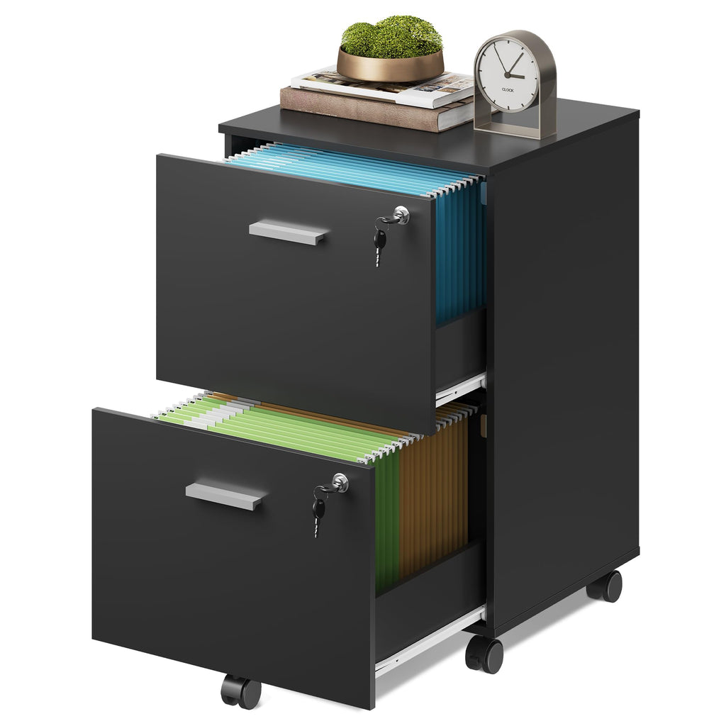 2 Drawer Wood File Cabinet with Lock, Mobile Printer Stand, Black