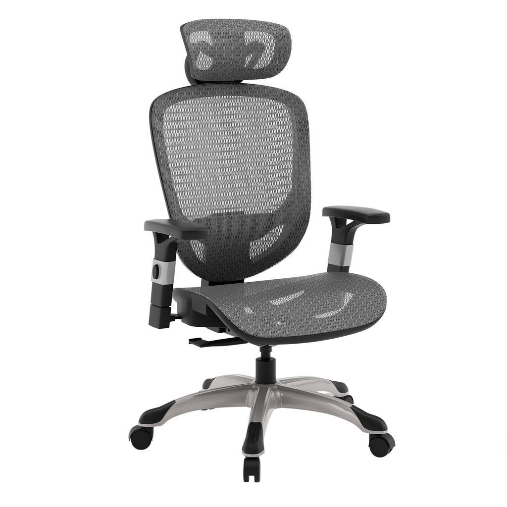 Ergonomic Task Chair, Mesh, Ergonomic, Lumbar Support, Swivel, Gray