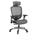 Ergonomic Task Chair, Mesh, Ergonomic, Lumbar Support, Swivel, Gray