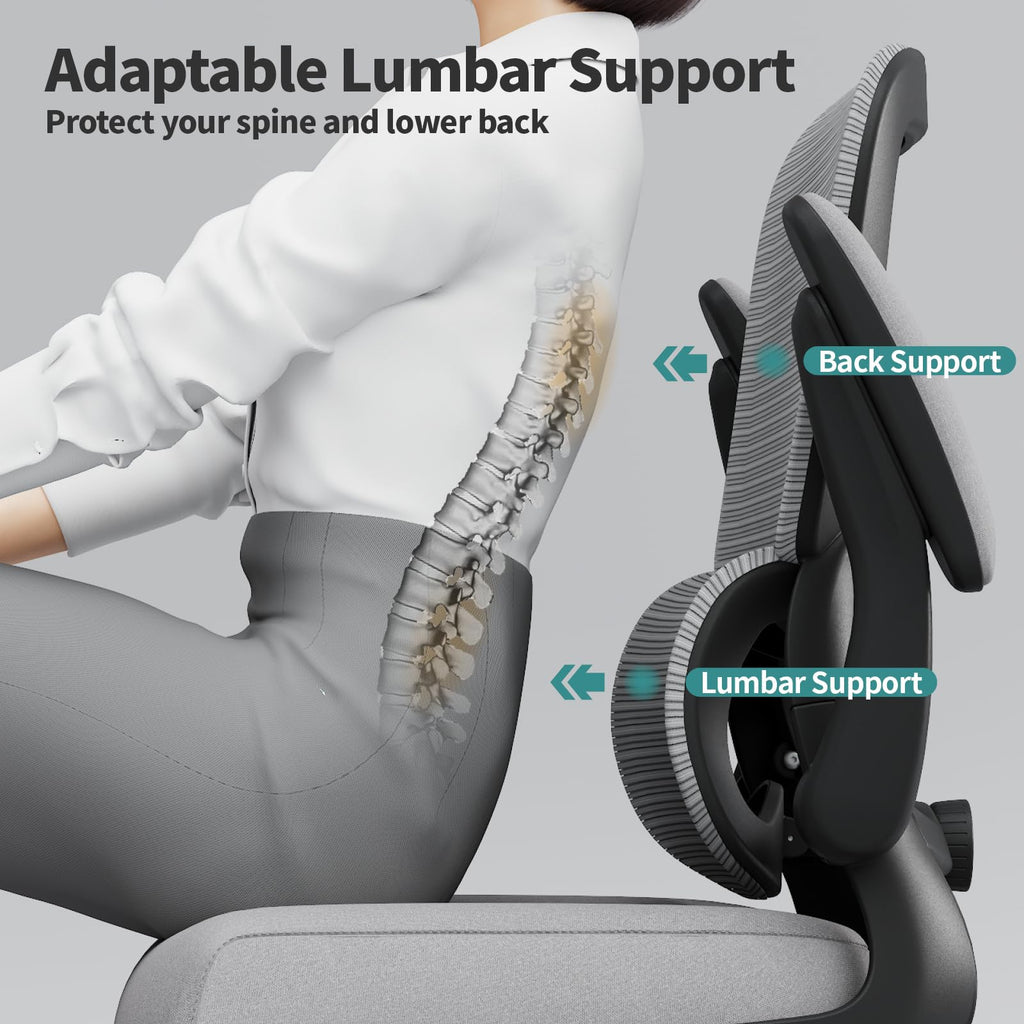 Office Chair - Ergonomic Desk Chair with Adjustable Lumbar Support, Mesh Computer Chair, Executive Chair for Home Office Comfortable Lumbar Support (Fog Gray)