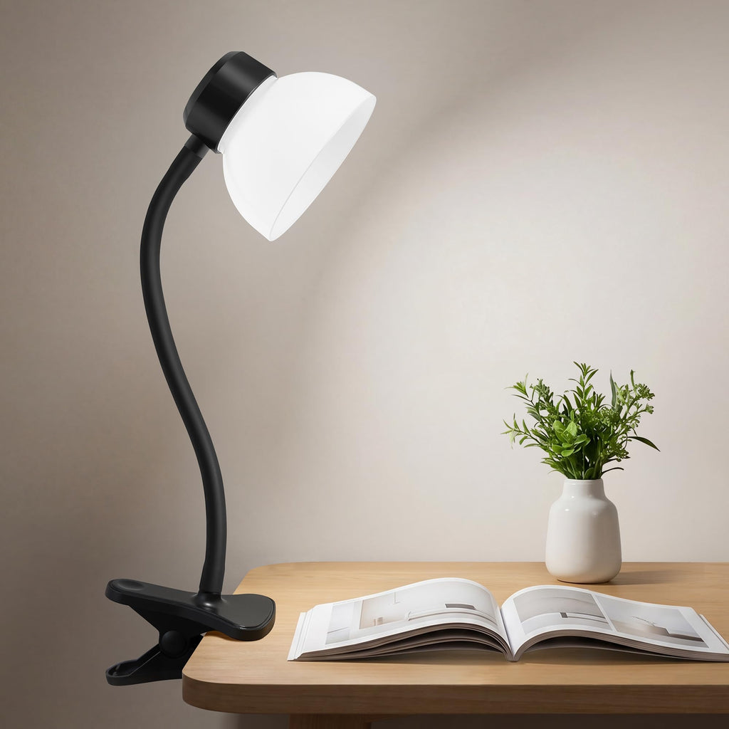 Desk Lamps for Home Office,Small LED Reading Lamp,5000K Eye-Care Desk Light