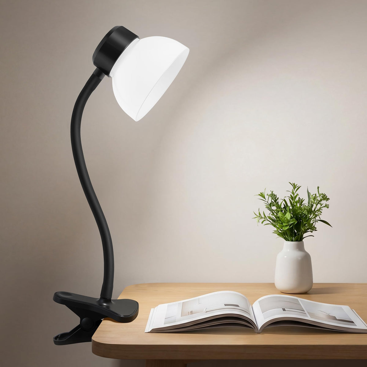 Desk Lamps for Home Office,Small LED Reading Lamp,5000K Eye-Care Desk Light