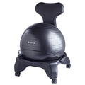 Classic Balance Ball Chair, Stability Seat (Black)