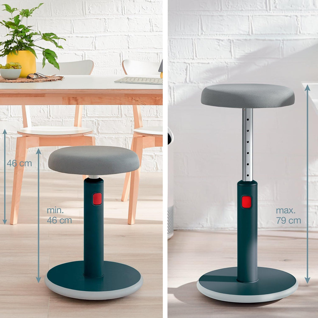 Leitz Ergo Active Sit Stand 2 in 1 Stool, Adjustable Ergonomic Wobble Chair, Strong and Stable for Office and Home (65180089-NA)