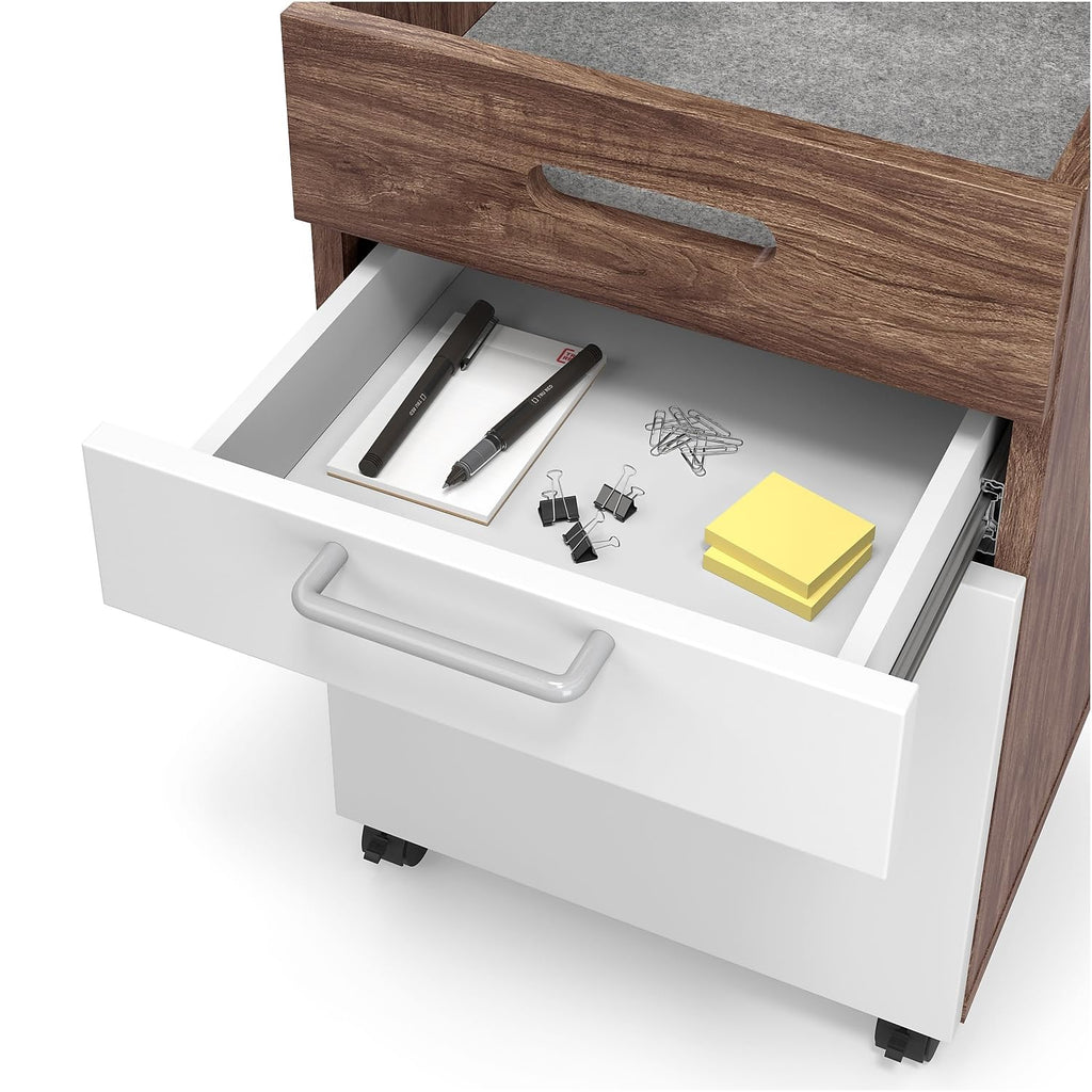 2 Drawer Mobile File Cabinet, Rolling Printer Stand, Vertical Filing Cabinet, Office Drawers, Filing Cart for Home Office, A4/Letter Size, Black and Rustic Brown