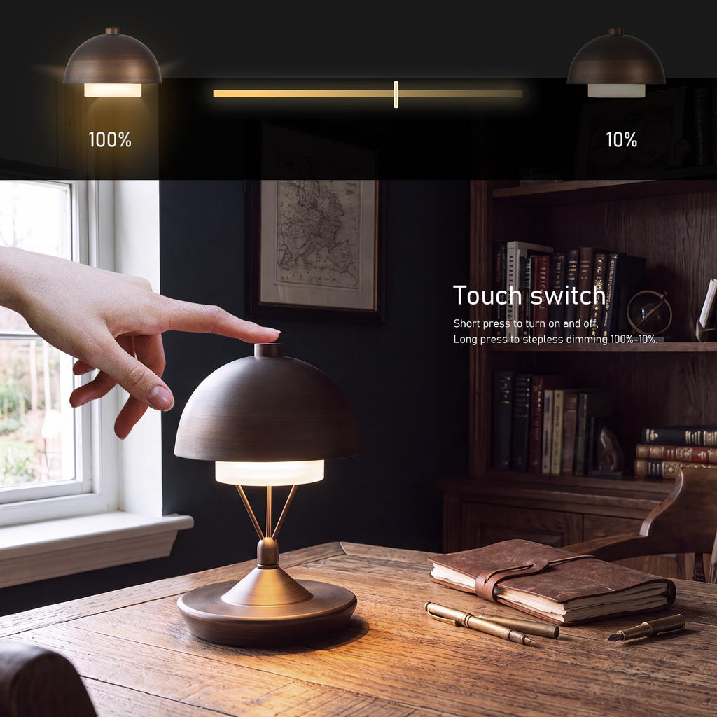 Cordless Modern Desk Lamp, Rechargeable Battery, Brown Bronze