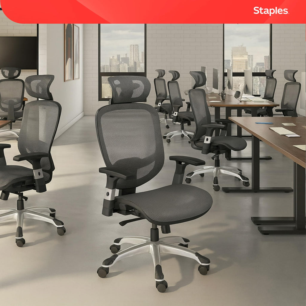 Ergonomic Task Chair, Mesh, Ergonomic, Lumbar Support, Swivel, Gray
