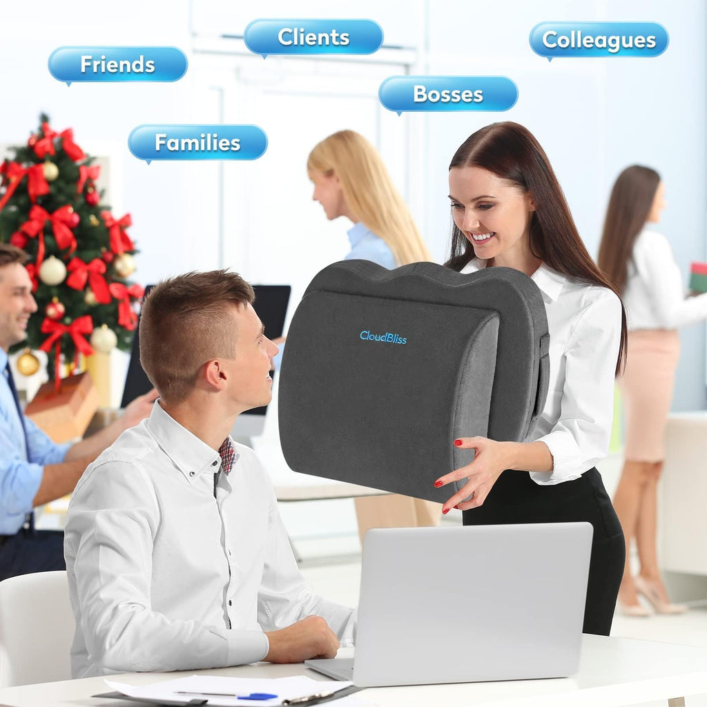 Lumbar Support Pillow & Seat Cushion Set for Office Chair, Desk Chair, Wheelchair & Car – Memory Foam Back Support, Ergonomic Chair Cushions, Sciatica Pain Relief, Home Essentials, Grey