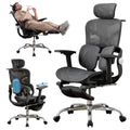 Ergonomic Mesh Office Chair with 2-Zone Lumbar Support and Footrest,Black
