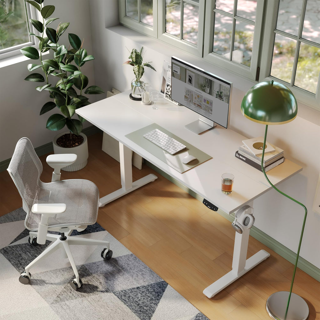 60 * 24 Inch Height Adjustable Electric Standing Desk, White