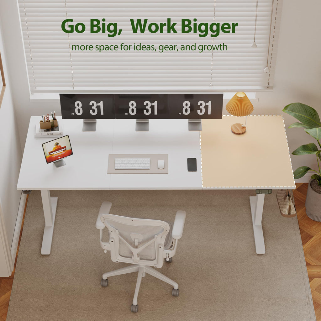 71 * 32 Inch Height Adjustable Electric Standing Desk, White