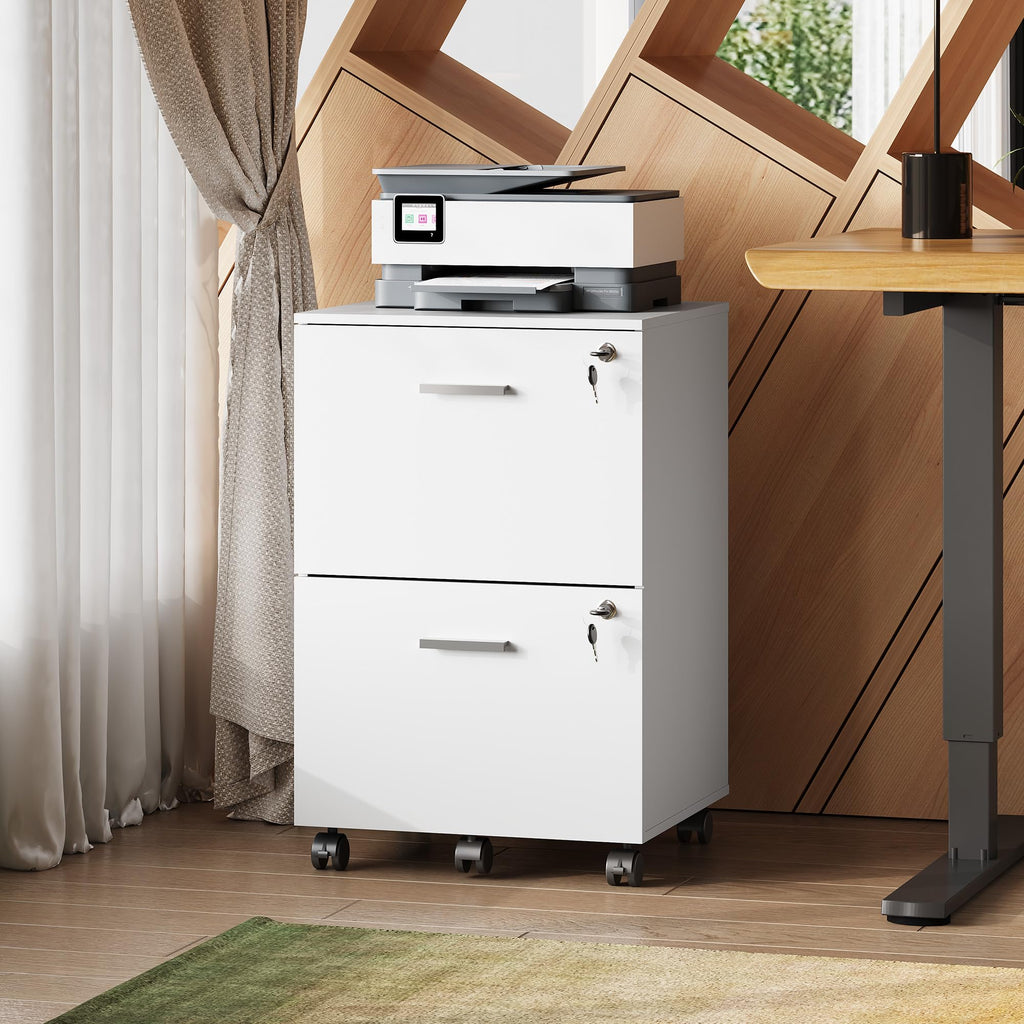 2 Drawer File Cabinet with Lock, Mobile Printer Stand, White