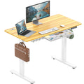 48-Inch Electric Height Adjustable Standing Desk with Drawer, Memory Preset and Cable Management Tray, Oak