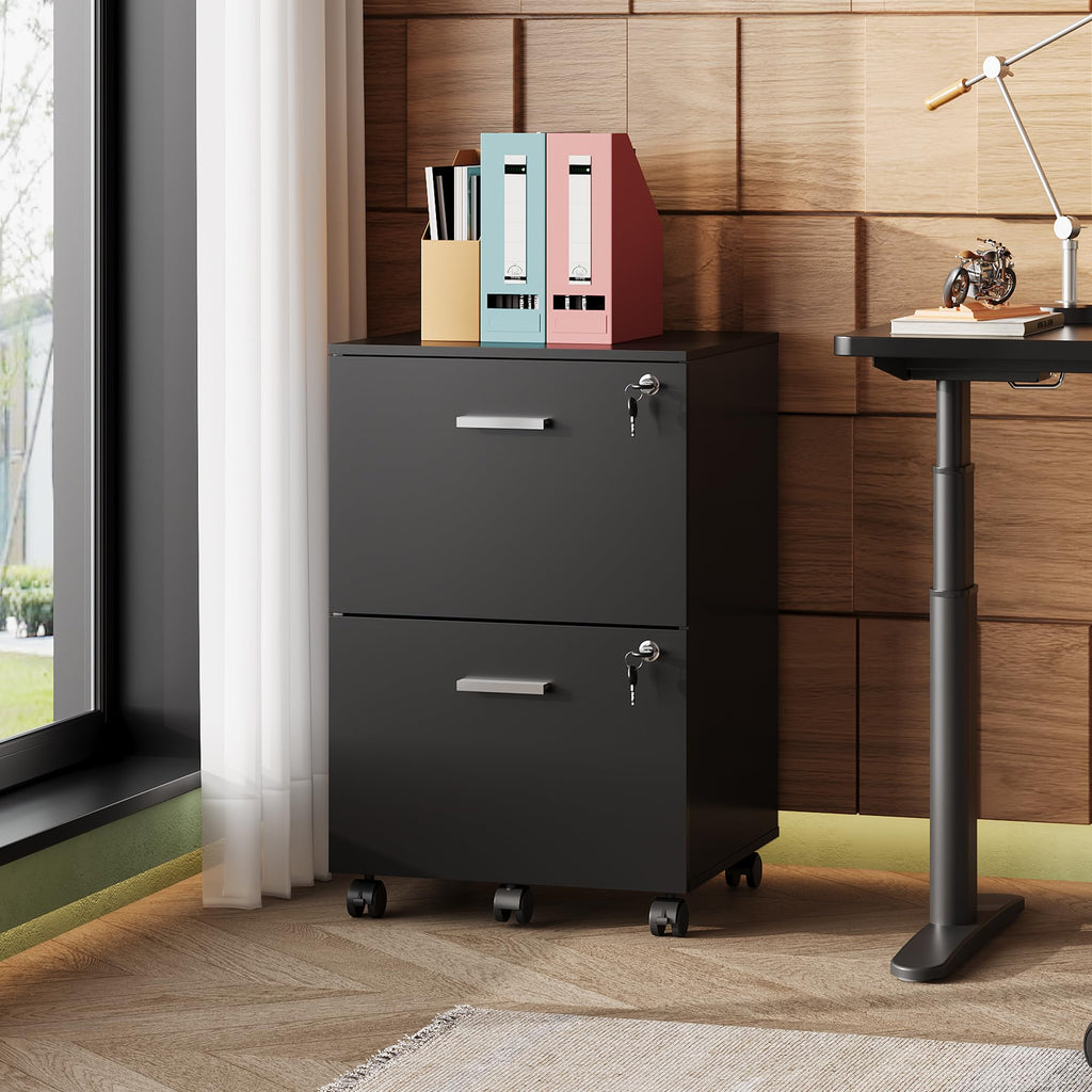 2 Drawer Wood File Cabinet with Lock, Mobile Printer Stand, Black
