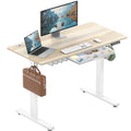 48-Inch Electric Height Adjustable Standing Desk with Drawer, Memory Preset and Cable Management Tray, Maple