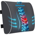 Lumbar Support Pillow for Office Chair, Car Seats and Home Desks, Ergonomic Back Support with Double Adjustable Straps, Machine Washable Cover, Gray