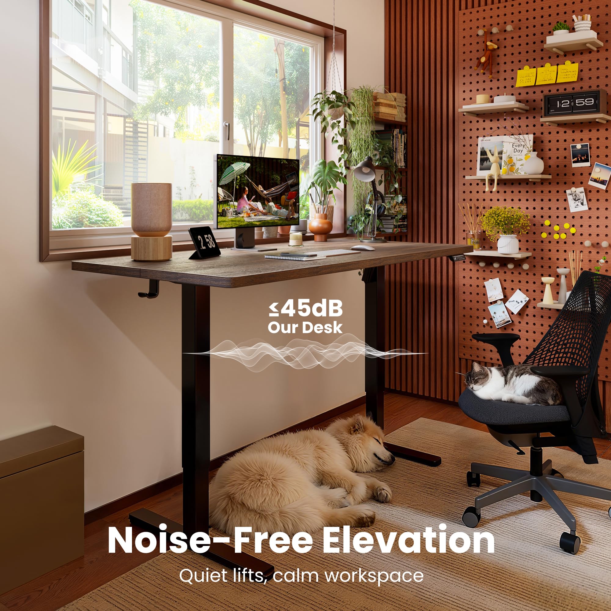 Height Adjustable Electric Standing Desk, 55 x 28 Inches Sit Stand up Desk, Memory Computer Home Office Desk, Dark Walnut