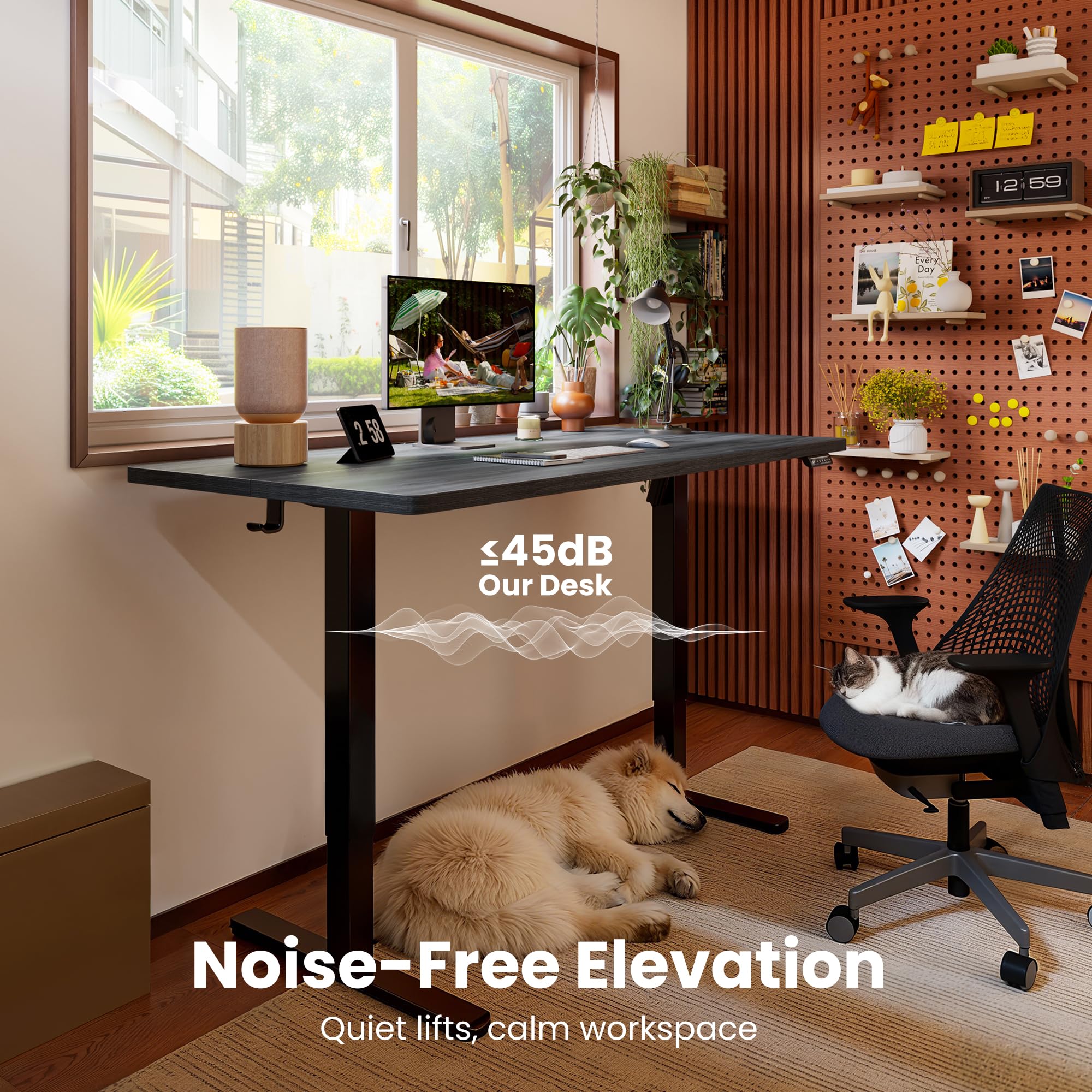 Height Adjustable Electric Standing Desk, 48 x 24 Inches Sit Stand up Desk, Memory Computer Home Office Desk, Grey