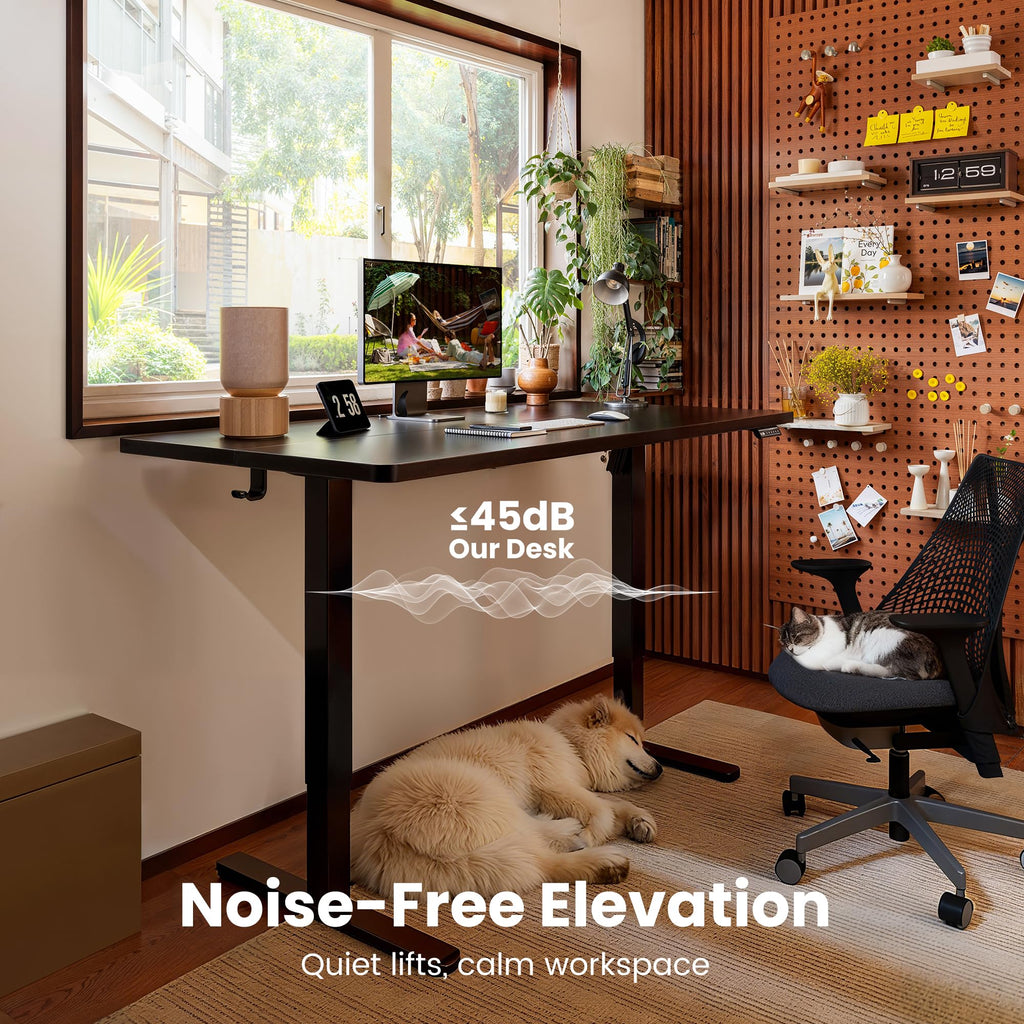 Height Adjustable Electric Standing Desk, 55 x 28 Inches Sit Stand up Desk, Memory Computer Home Office Desk, Black